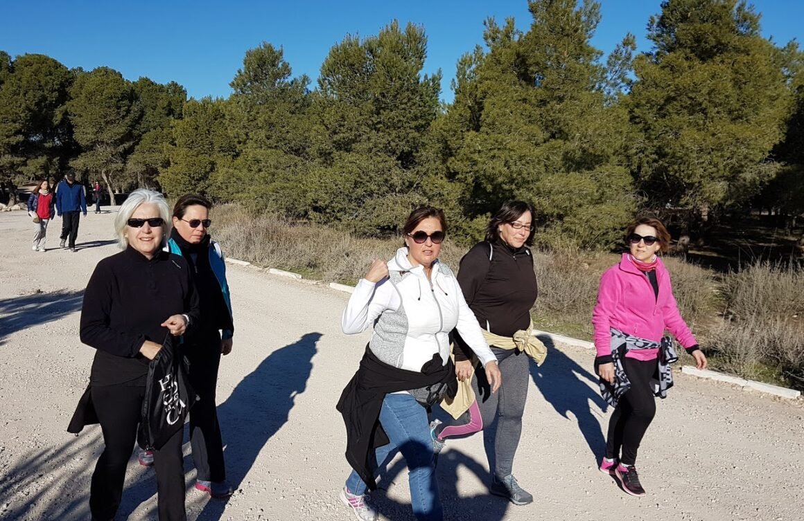Anda en Compañía (Pinares de Venecia) Anda en Compañía (Pinares de Venecia)